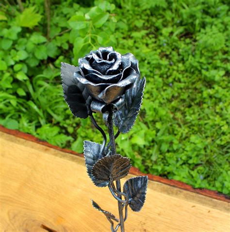 Steel Roses 